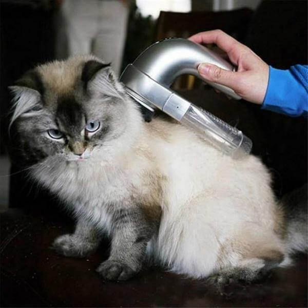 Electric Cordless Pet Hair Vacuum - Image 4