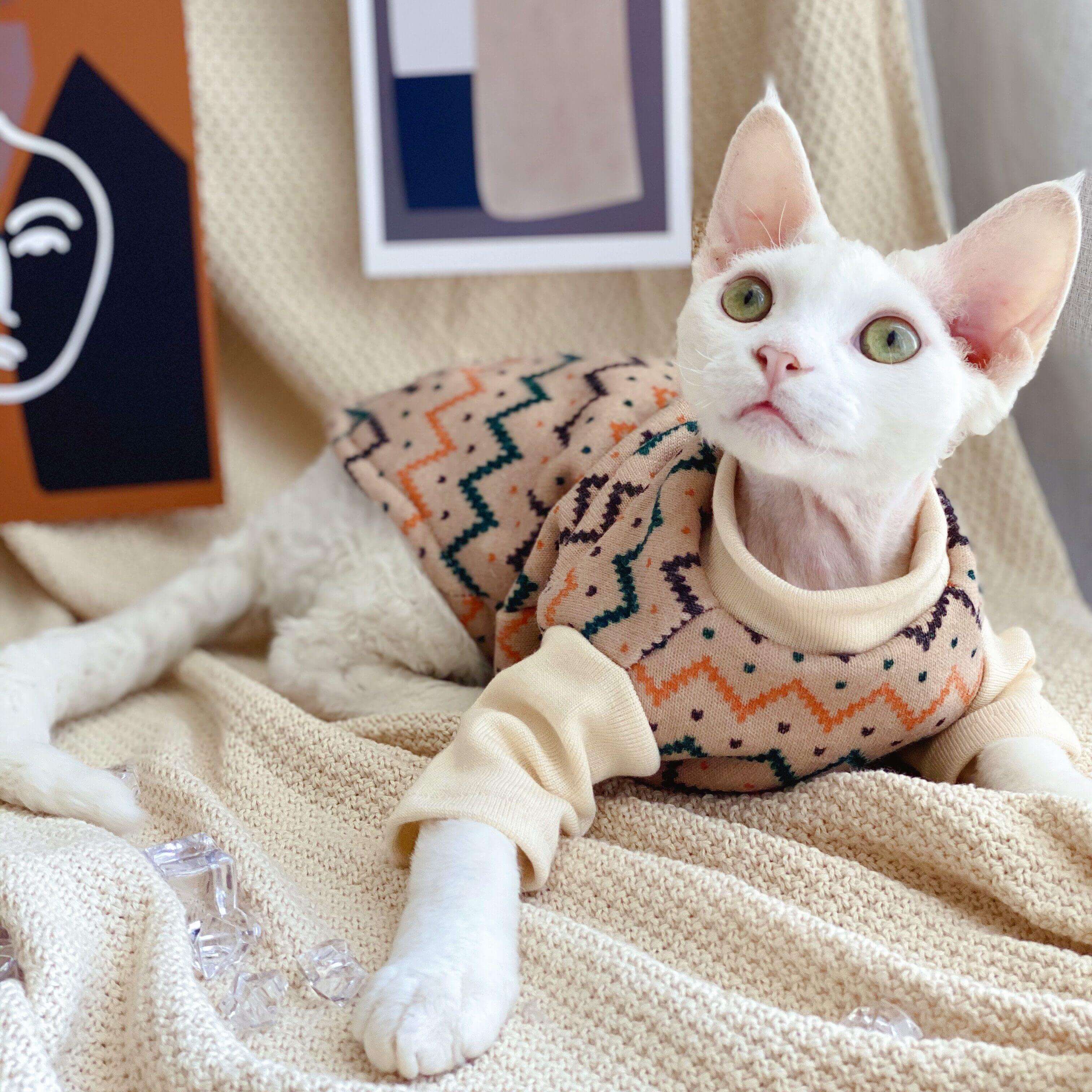 Ethnic Hairless Cat Sweater - Image 5