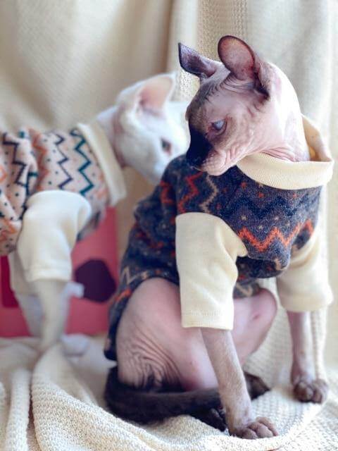 Ethnic Hairless Cat Sweater - Image 8