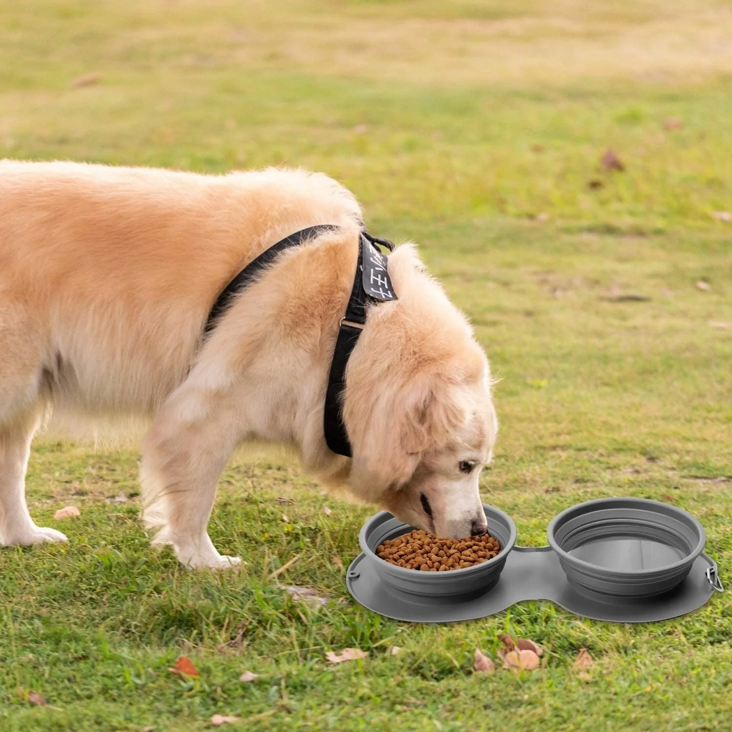 Foldable Travel Pet Double Feeding Bowl - Image 9