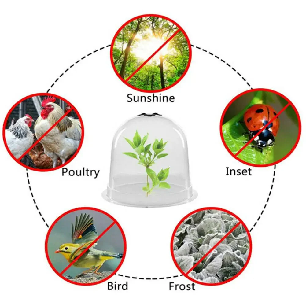 Frost Protection Clear Garden Plant Cover - Image 5