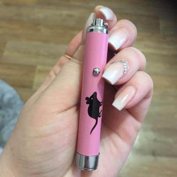 Funny Laser Cat Toy - Image 4