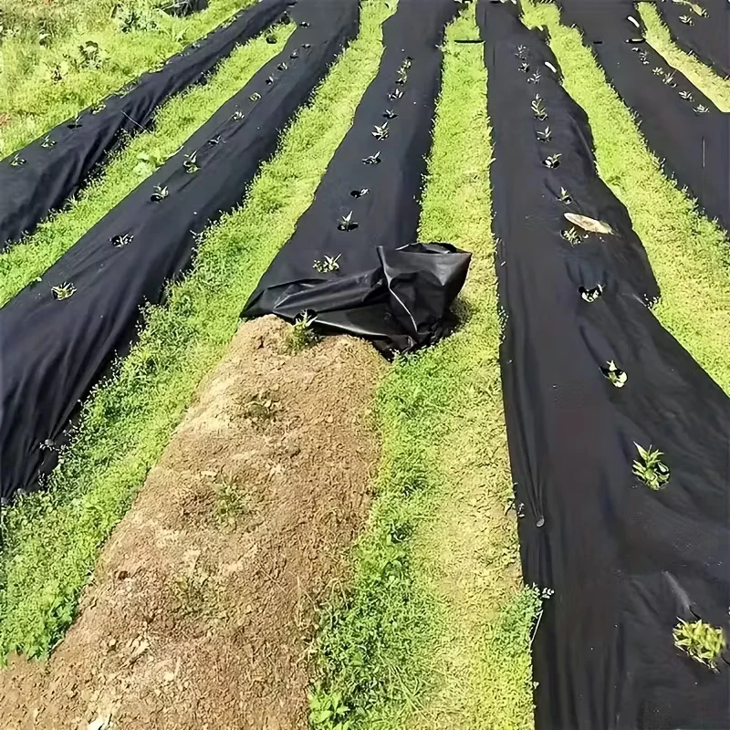Garden Ground Cover Long-Lasting Anti-grass Fabric - Image 3