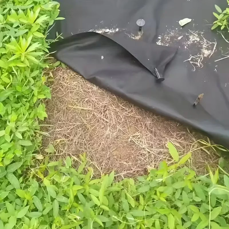 Garden Ground Cover Long-Lasting Anti-grass Fabric - Image 4