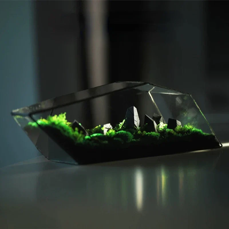 Geometric Glass Moss Planter Terrarium Vase - Image 2