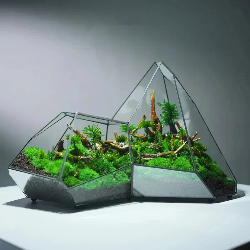 Geometric Glass Moss Planter Terrarium Vase - Image 3