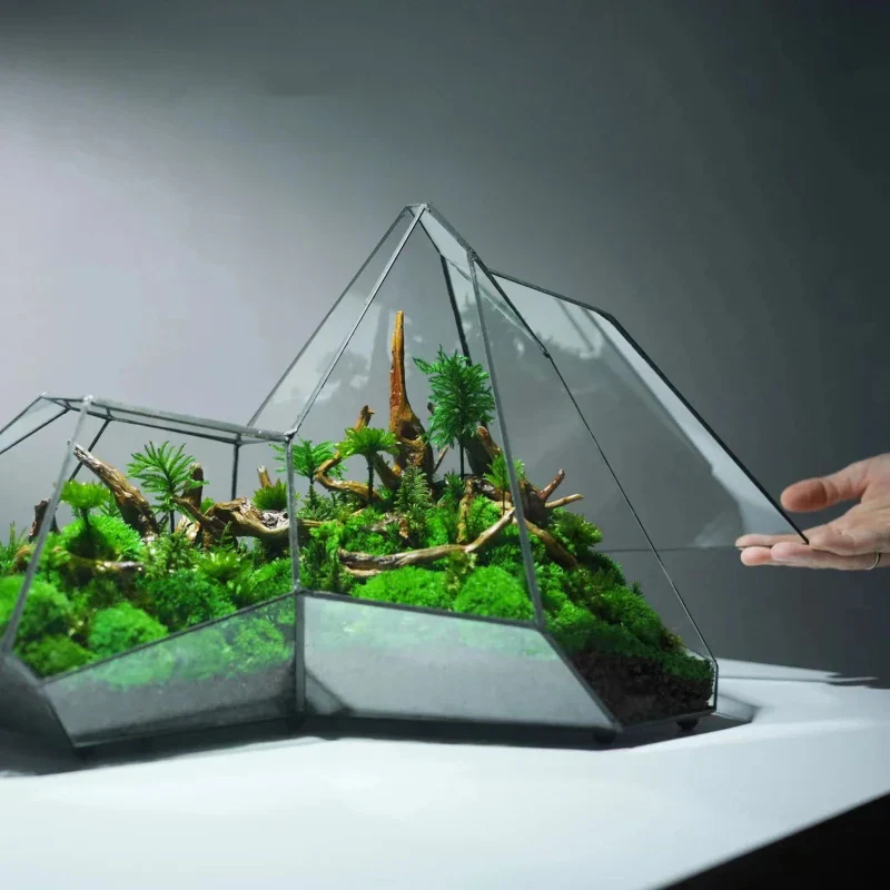 Geometric Glass Moss Planter Terrarium Vase - Image 5