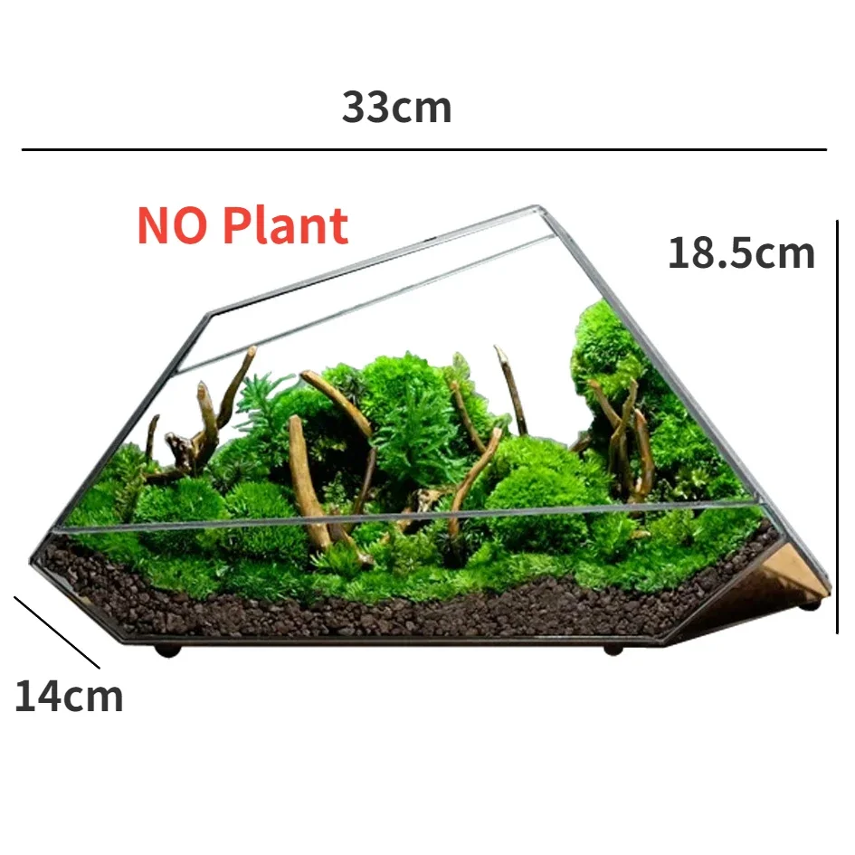 Geometric Glass Moss Planter Terrarium Vase - Image 6