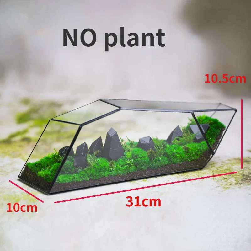 Geometric Glass Moss Planter Terrarium Vase - Image 7