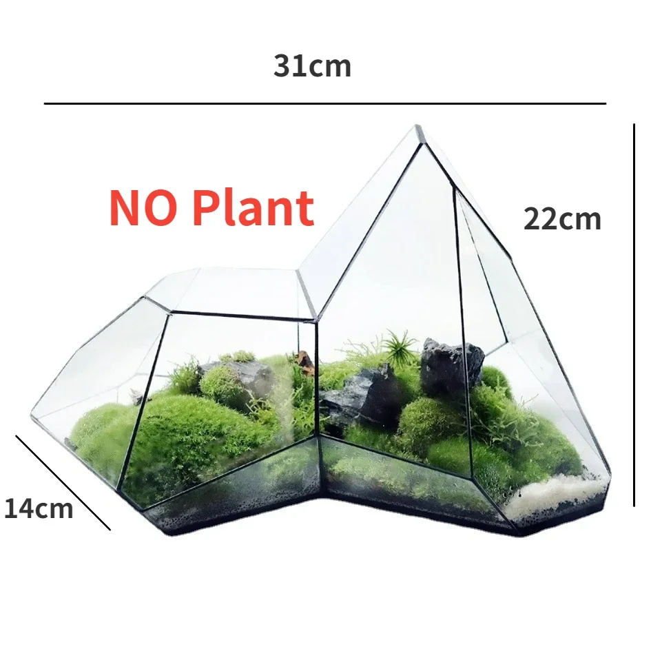Geometric Glass Moss Planter Terrarium Vase - Image 8