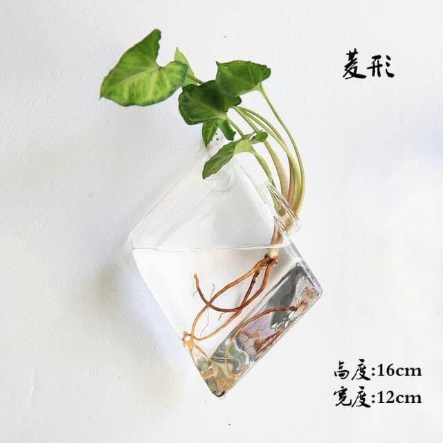 Handmade New Hexagonal Wall Clear Terrarium Vase - Image 2