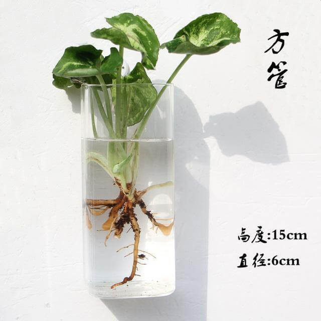 Handmade New Hexagonal Wall Clear Terrarium Vase - Image 8