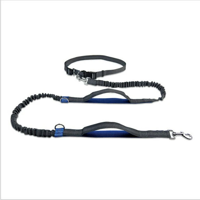 Hands-Free Elastic Waist Dog Leash - Image 11