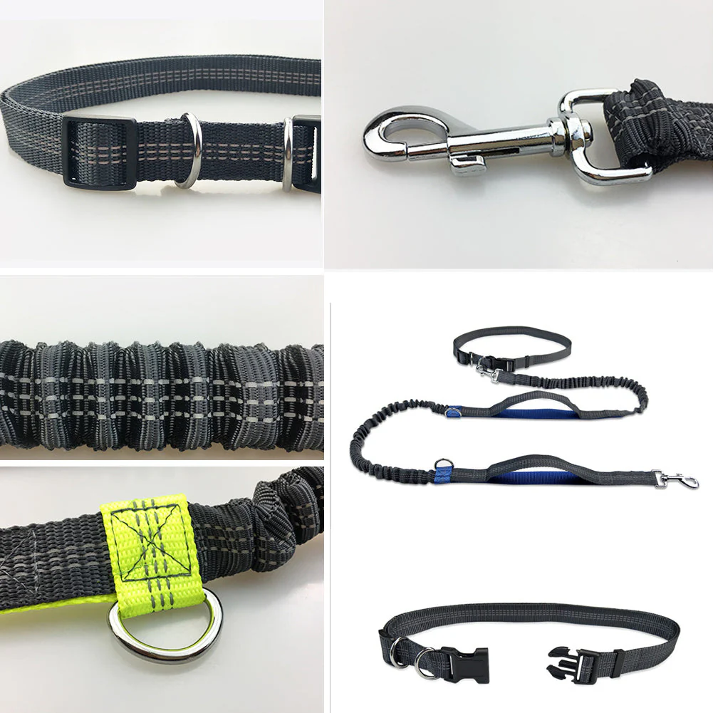 Hands-Free Elastic Waist Dog Leash - Image 6