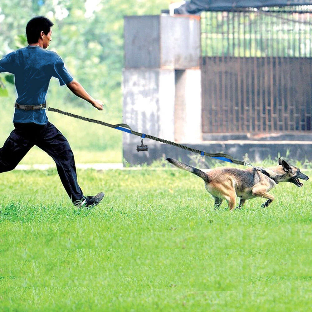 Hands-Free Elastic Waist Dog Leash - Image 9