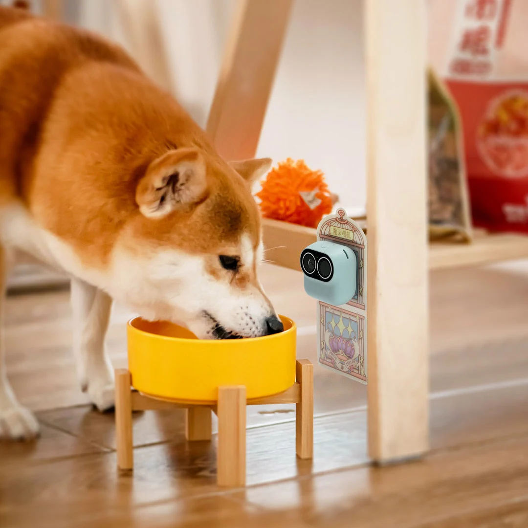 Home Hero Wireless Smart Monitoring Camera - Image 5