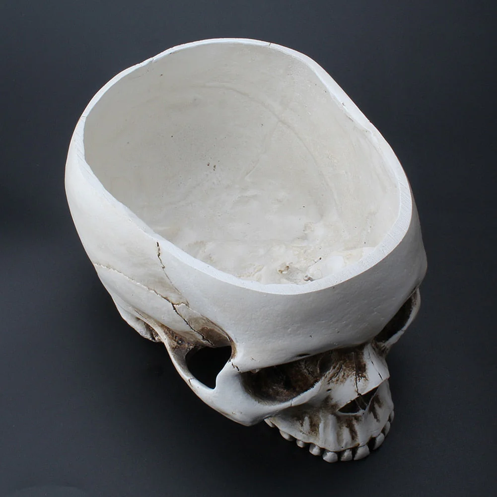 Impressive Realistic Skull Flower Vase - Image 11