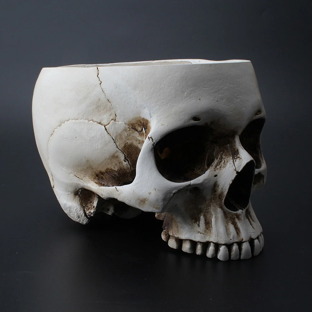 Impressive Realistic Skull Flower Vase - Image 9