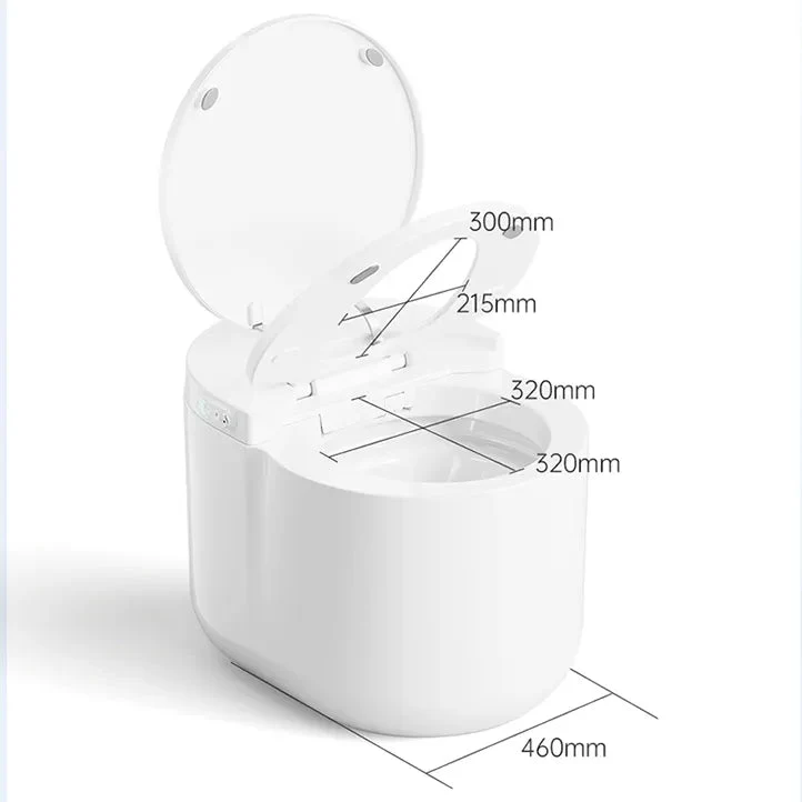 Instant Heat Compact Remote-Controlled Intelligent Automatic Bidet Toilet - Image 5