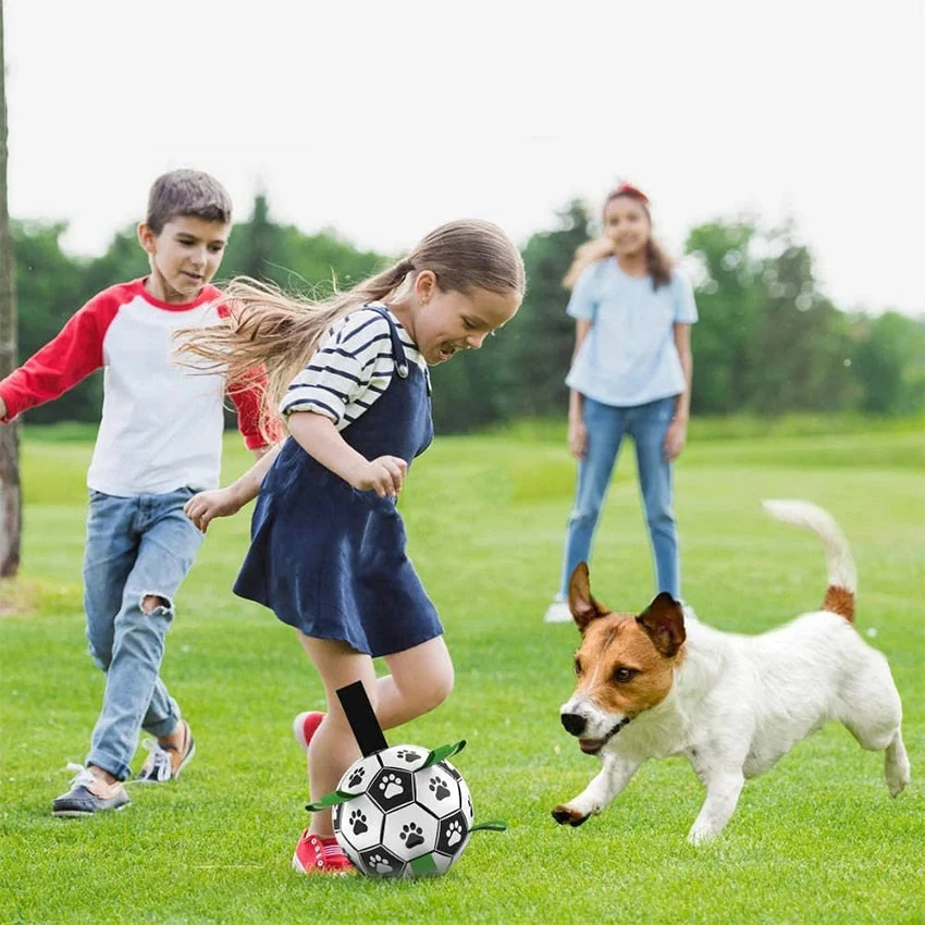 Interactive Pet Training Toy Ball - Image 10
