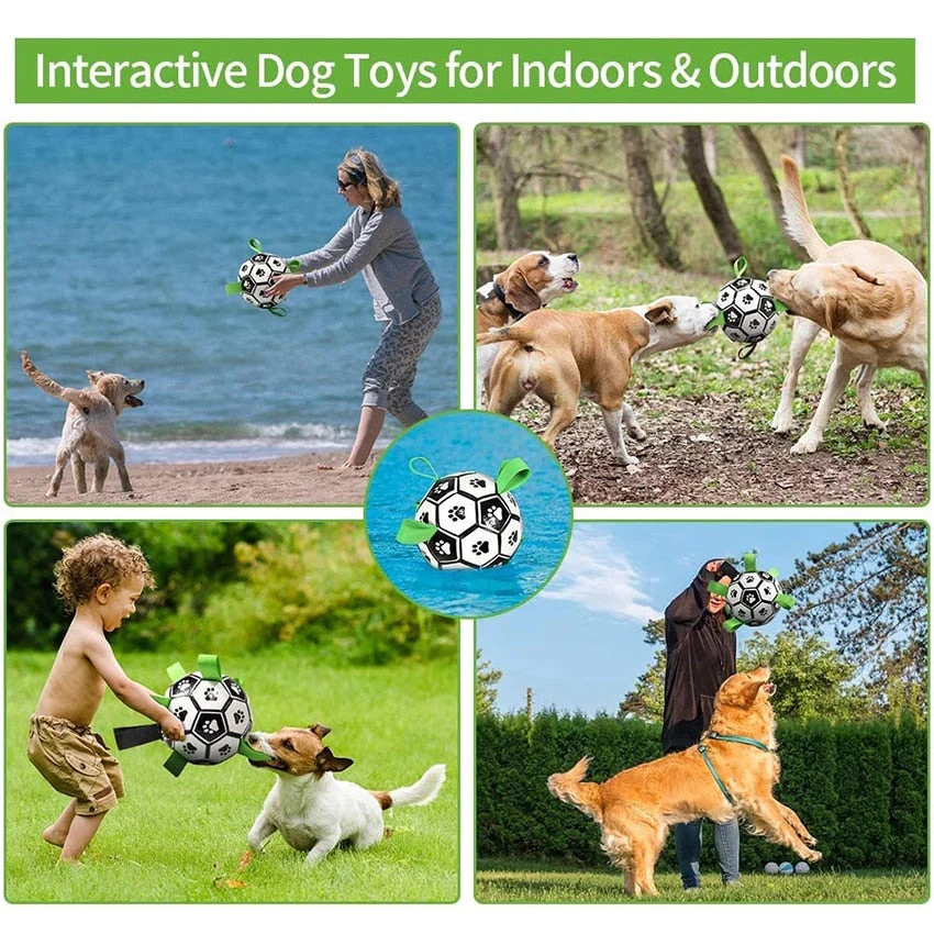 Interactive Pet Training Toy Ball - Image 11