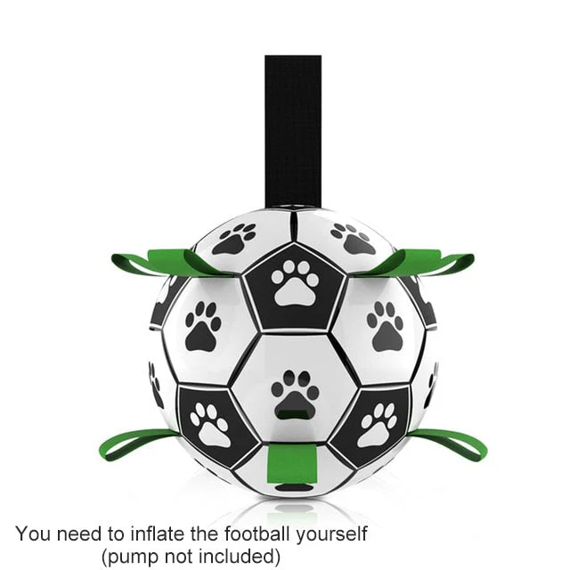 Interactive Pet Training Toy Ball - Image 12