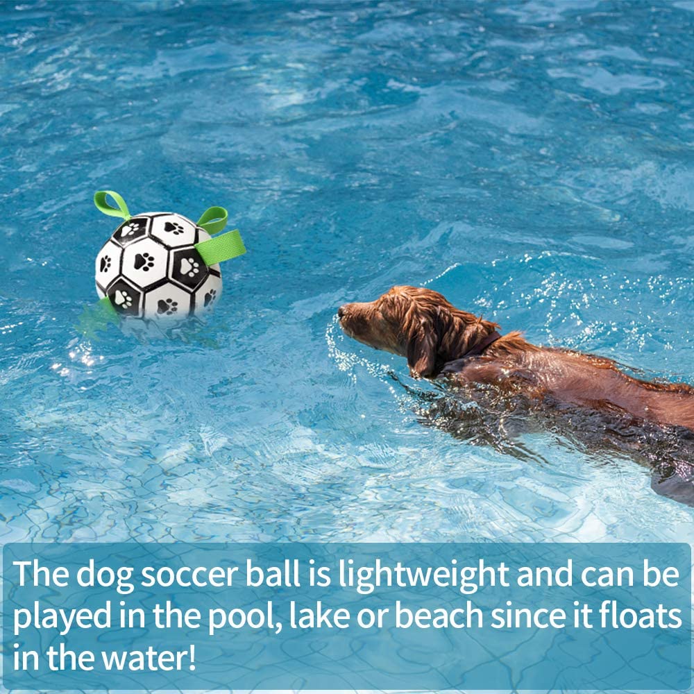 Interactive Pet Training Toy Ball - Image 13