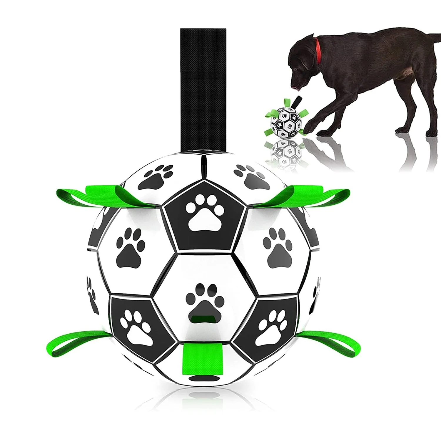 Interactive Pet Training Toy Ball - Image 2