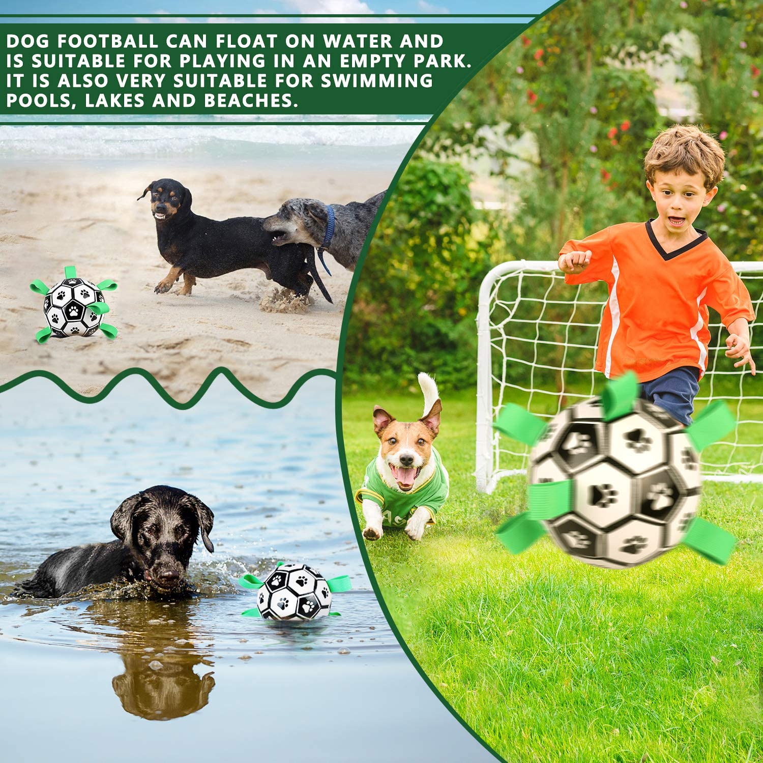 Interactive Pet Training Toy Ball - Image 3
