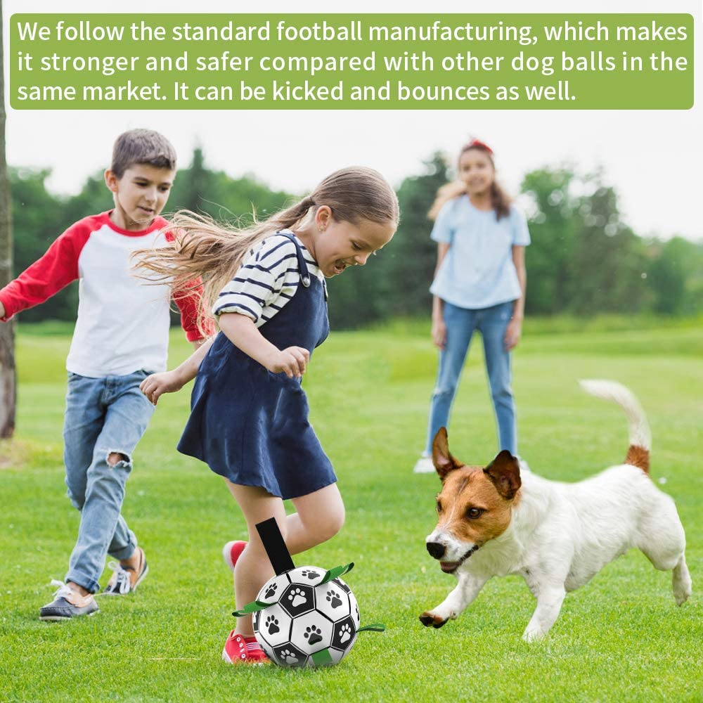 Interactive Pet Training Toy Ball - Image 4