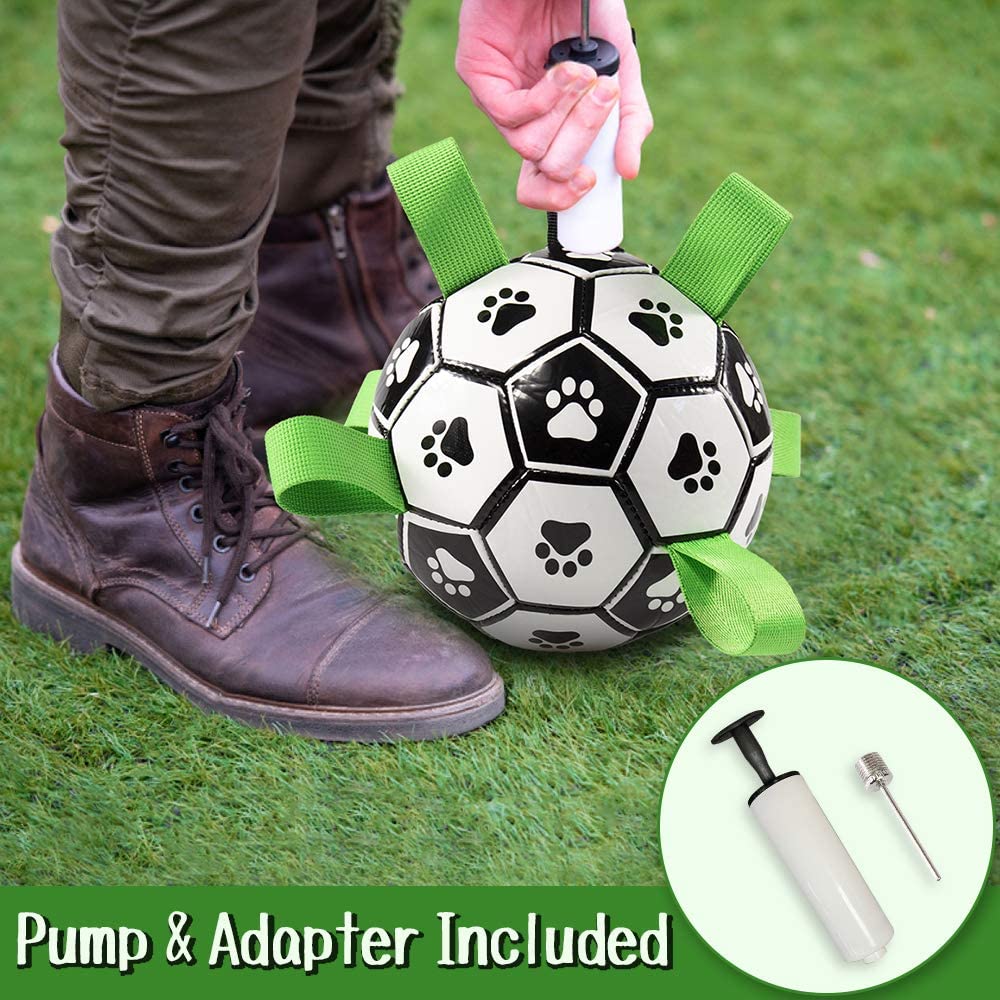 Interactive Pet Training Toy Ball - Image 5