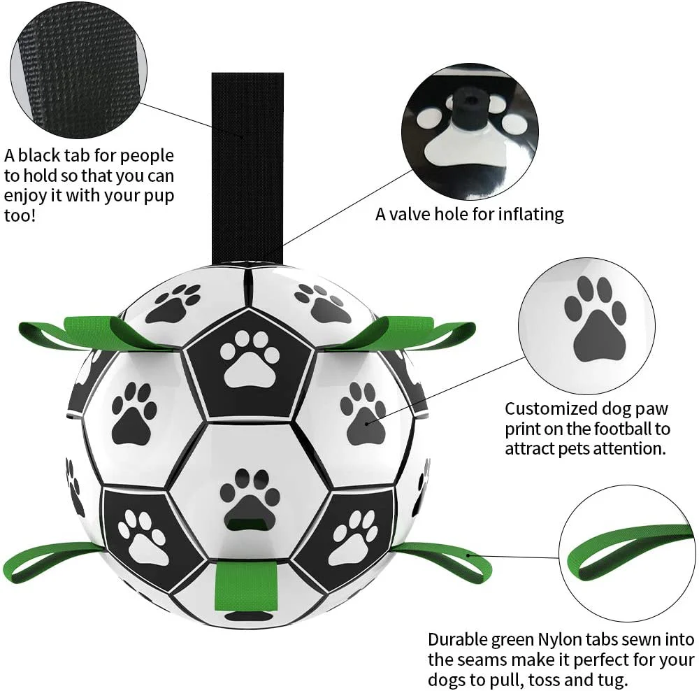 Interactive Pet Training Toy Ball - Image 8