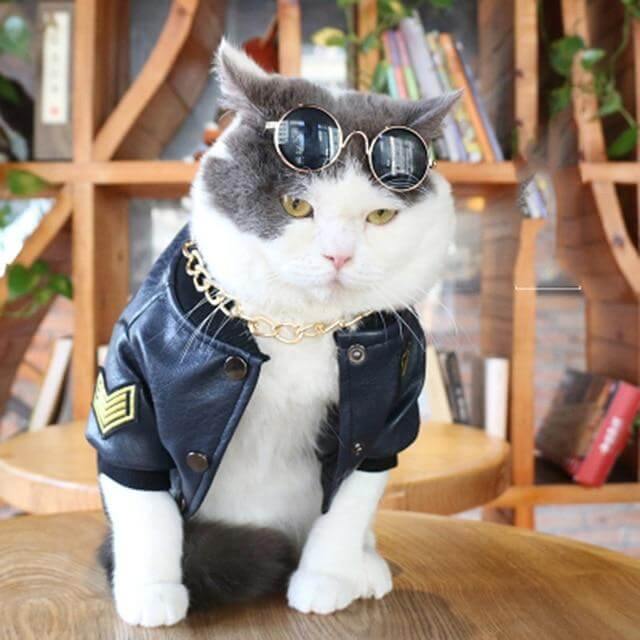 Leather Pet Jacket - Image 2