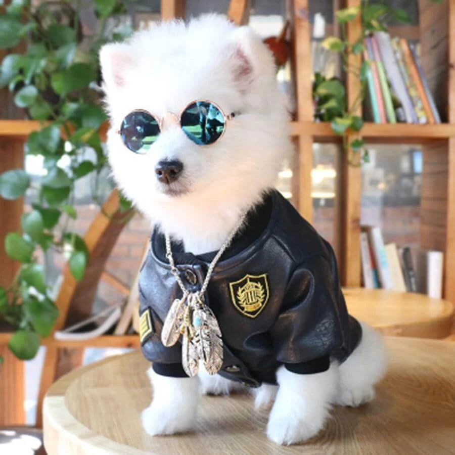 Leather Pet Jacket - Image 5