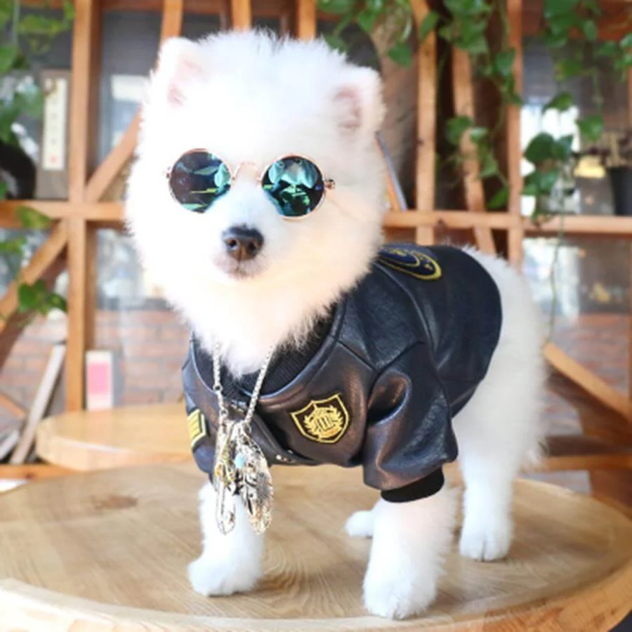 Leather Pet Jacket - Image 6