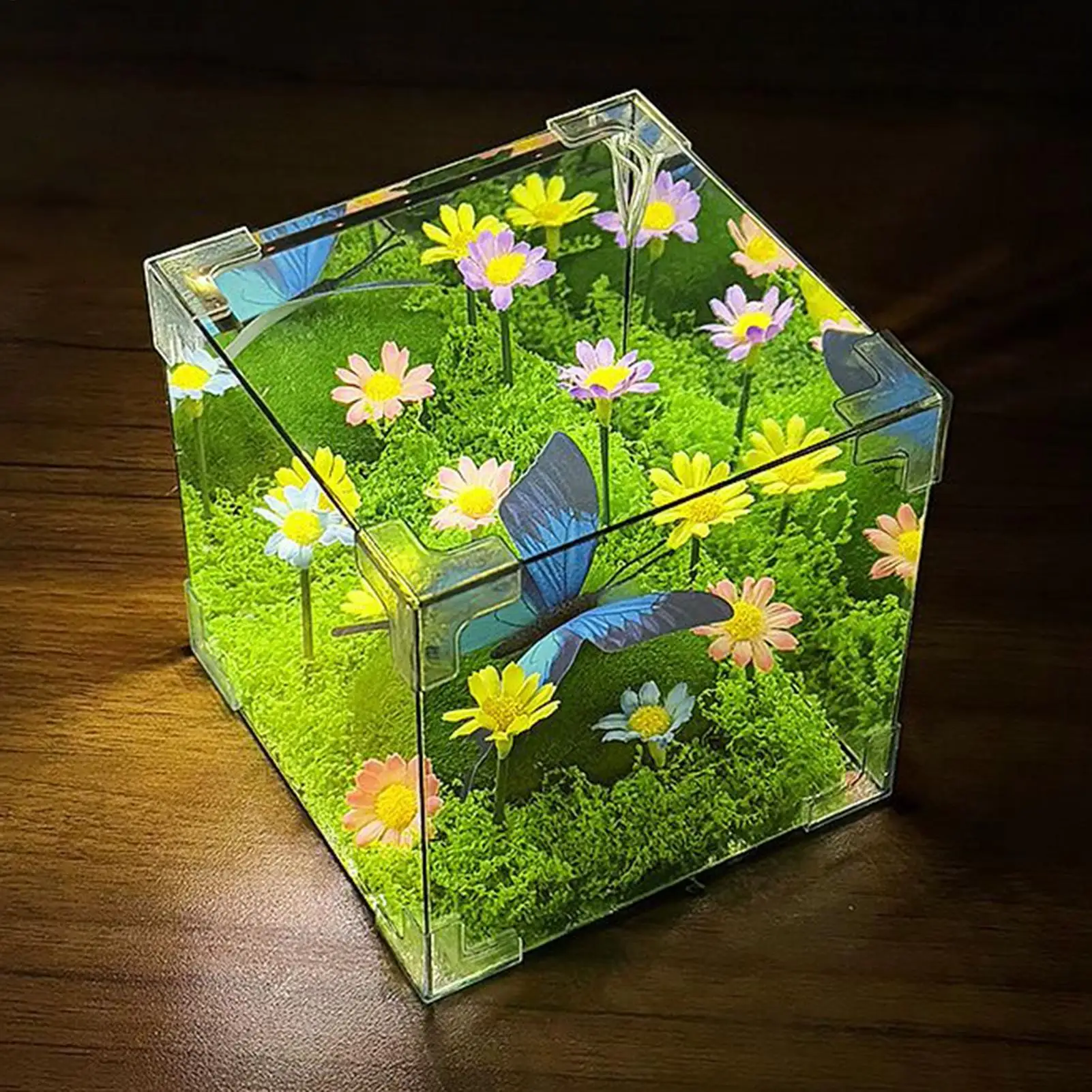 LED Butterfly Garden Cube Night Light Decor