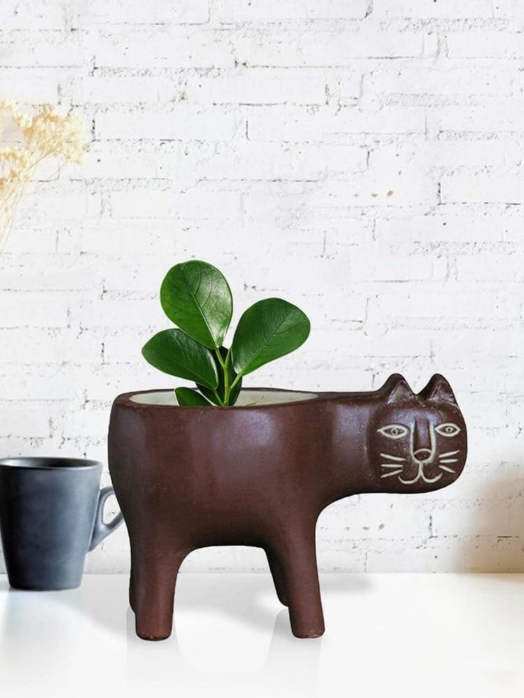 Lovely Ceramic Cat Plant Vase - Image 16