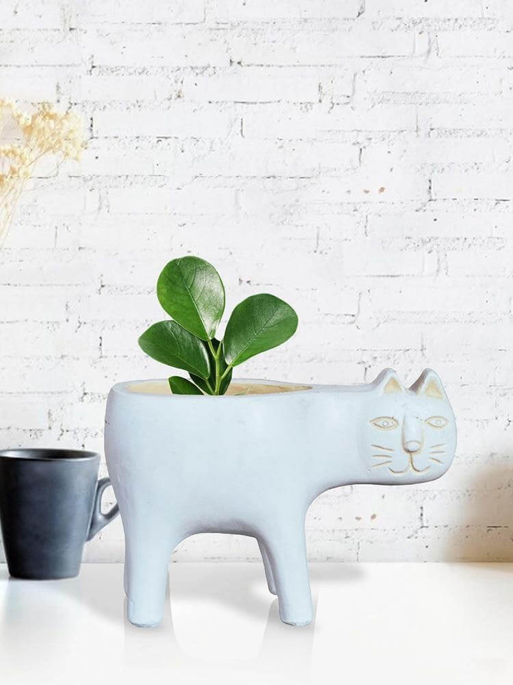 Lovely Ceramic Cat Plant Vase - Image 4