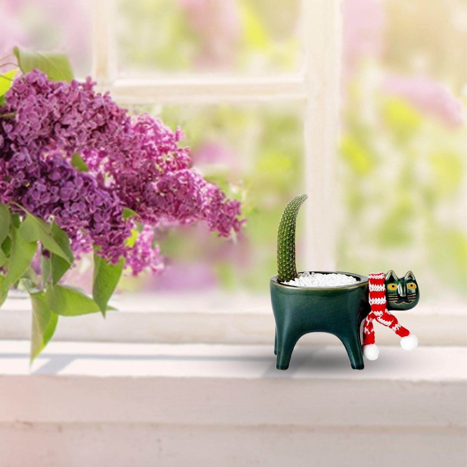 Lovely Ceramic Cat Plant Vase - Image 5