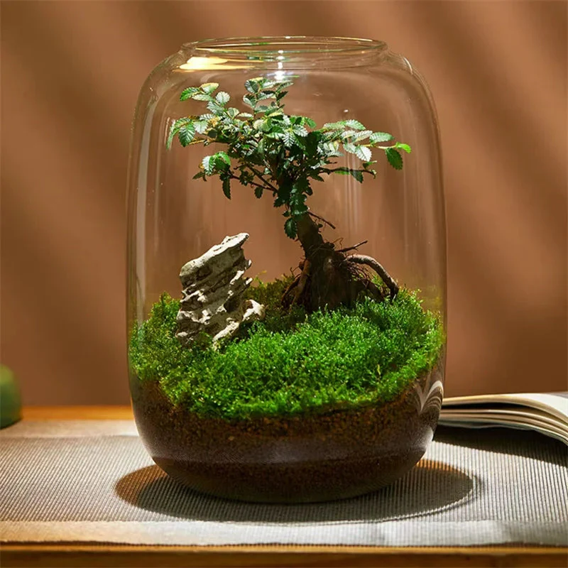 Micro Landscape Green Oasis Glass Vase - Image 5