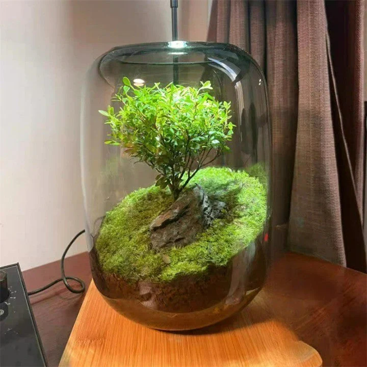 Micro Landscape Green Oasis Glass Vase - Image 6