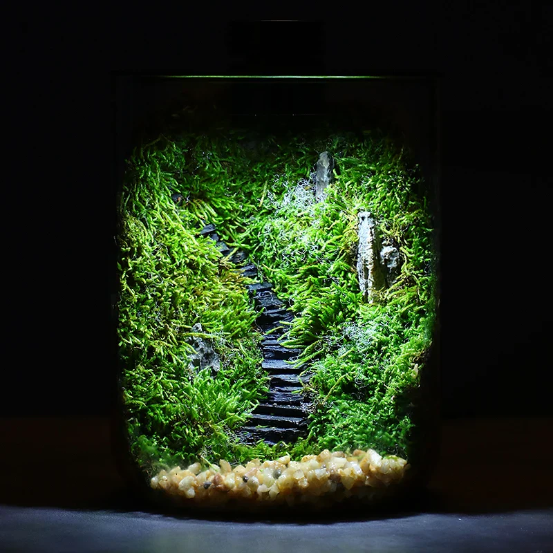 Mini Forest Maker Terrarium Decor Vase - Image 2
