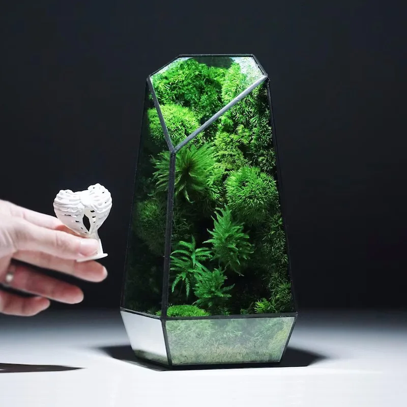 Modern Geometric Nature-Inspired Botanical Terrarium - Image 2
