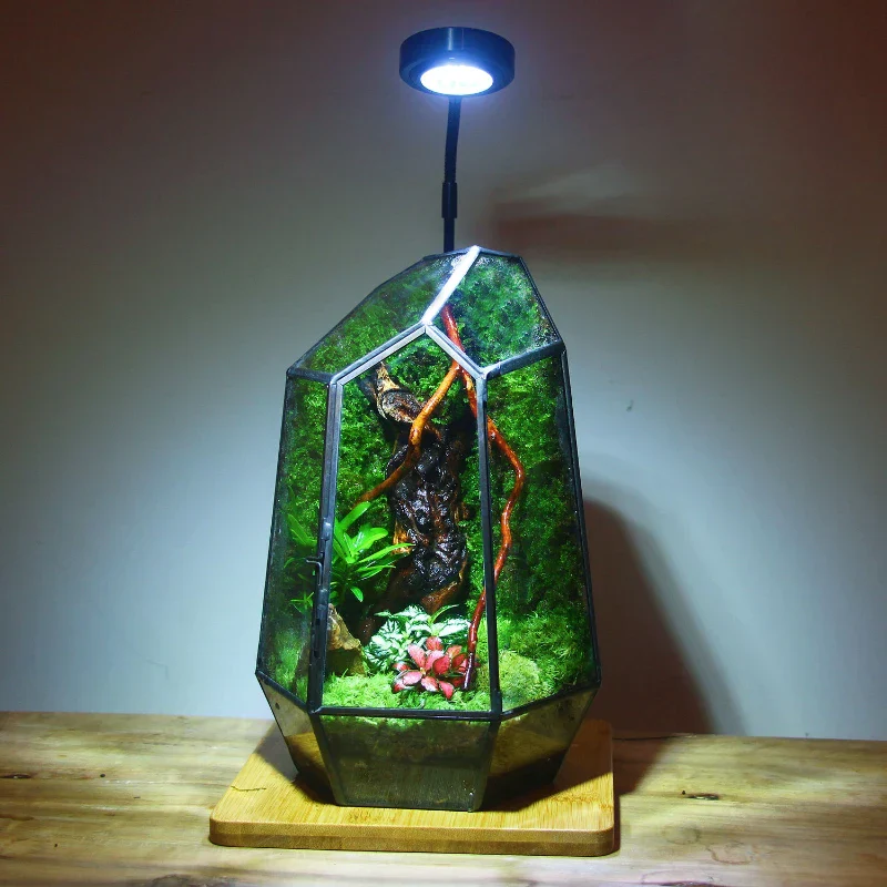Modern Geometric Nature-Inspired Botanical Terrarium - Image 4