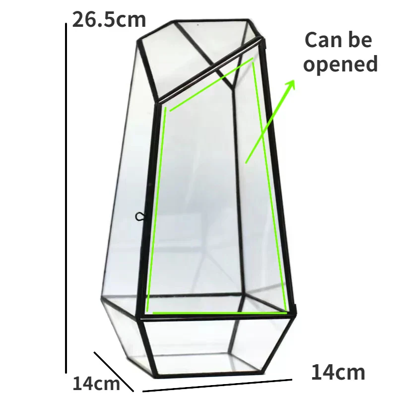 Modern Geometric Nature-Inspired Botanical Terrarium - Image 6
