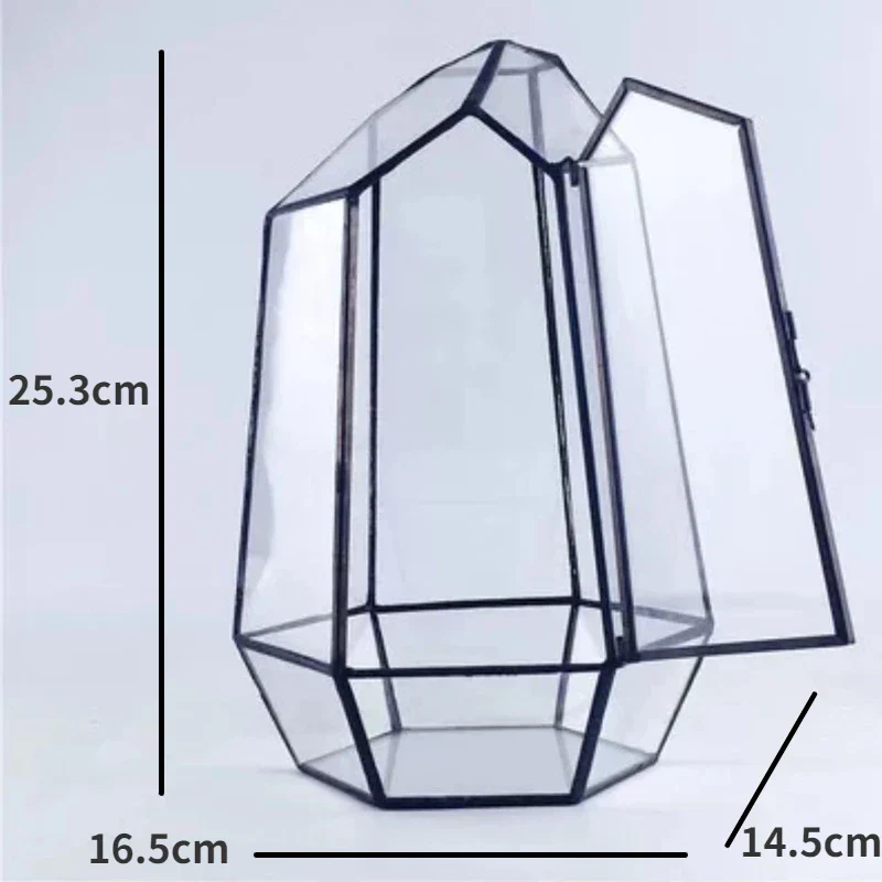 Modern Geometric Nature-Inspired Botanical Terrarium - Image 7