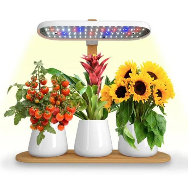 Modern Home Plant Growth Lamp Box - Image 5