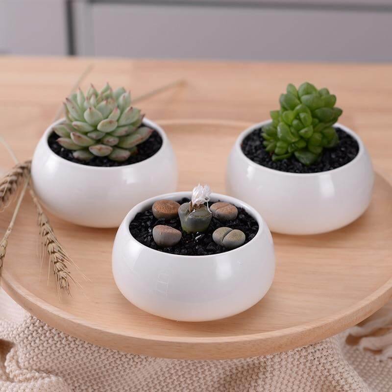 Modern Minimalist White Ceramic Flowerpot - Image 4