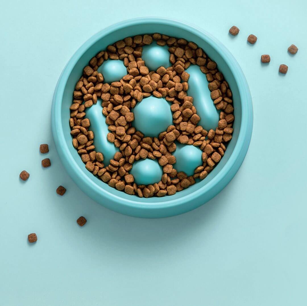 Modern Pet Slow Food Bowl - Image 10