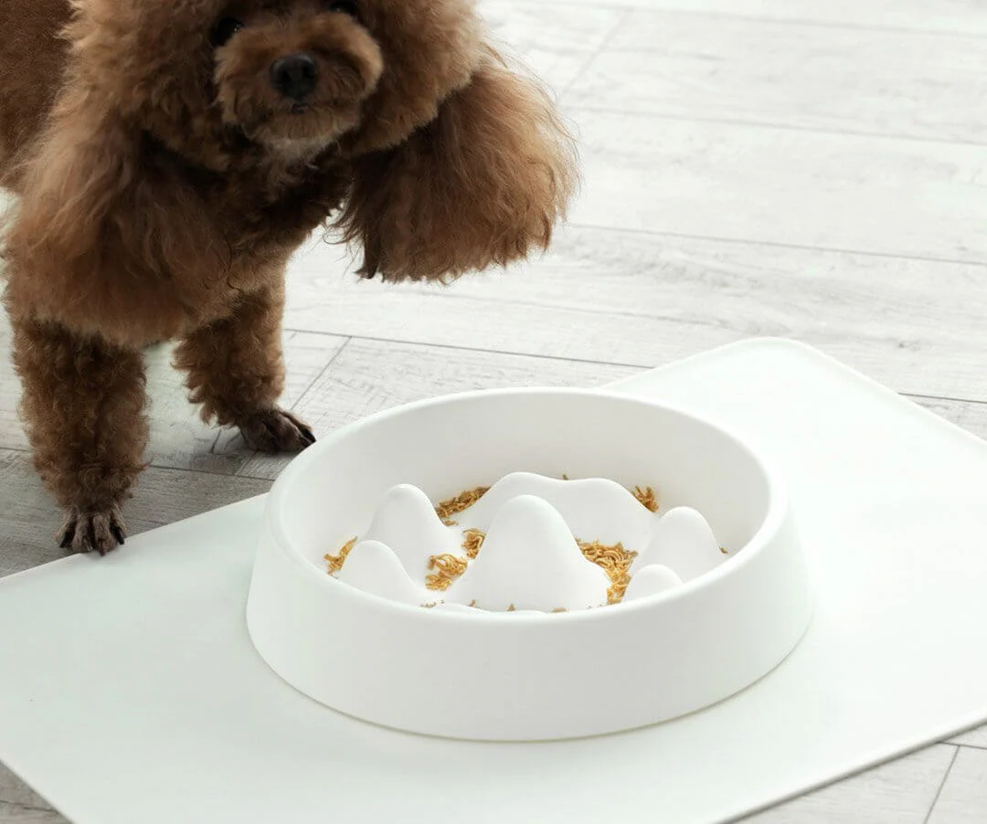 Modern Pet Slow Food Bowl - Image 4